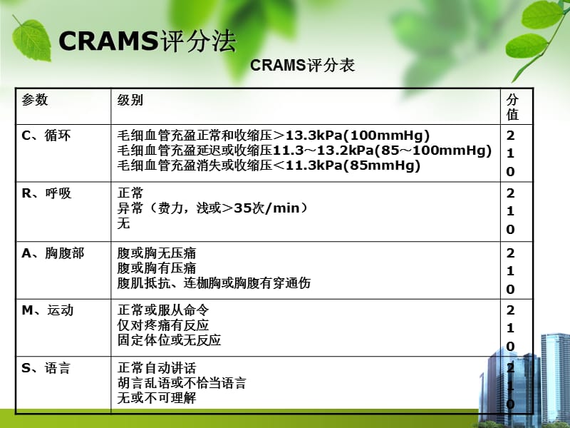 CRAMS评分表.ppt_第3页