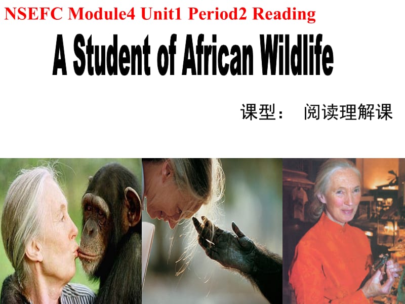 B4U1Reading A Student of African Wildlife (一师一优课课件).ppt_第1页