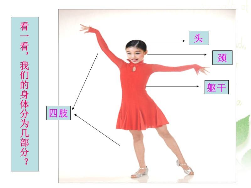 《了解我的身体》课件1.ppt_第3页