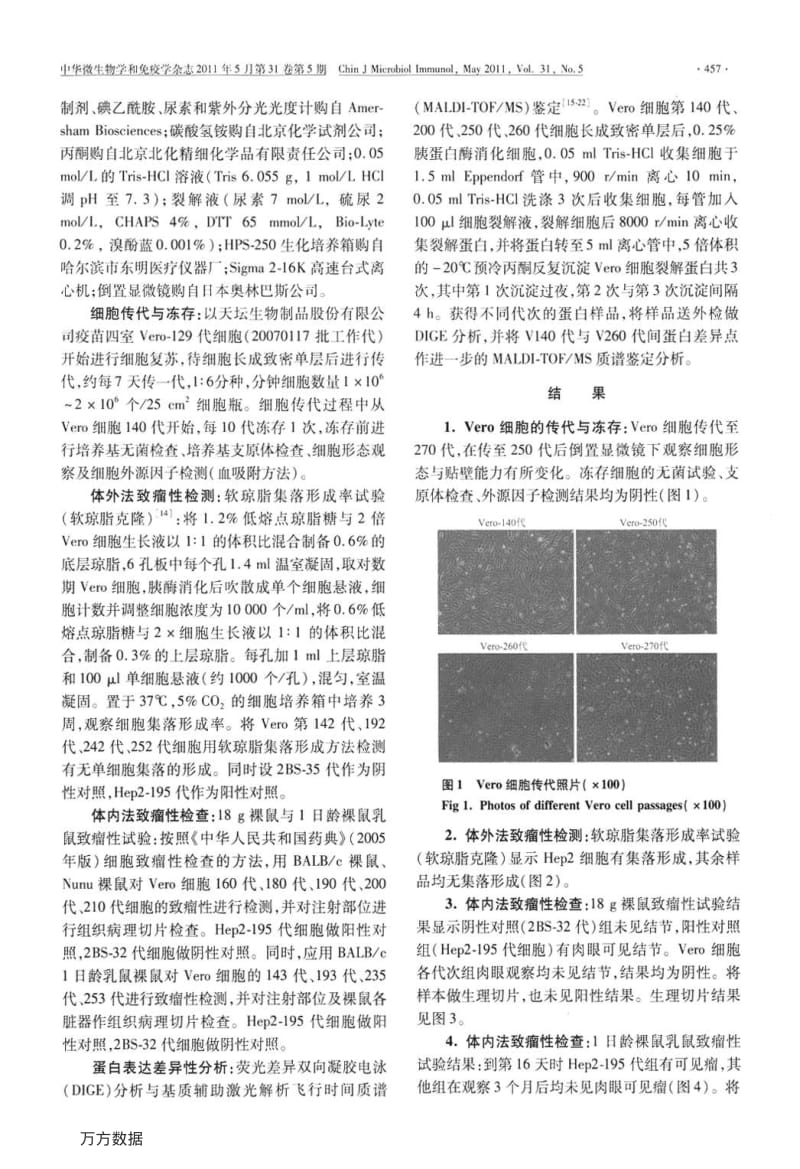 Vero细胞传代过程中致瘤性的检测.pdf_第2页