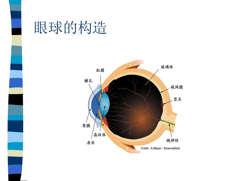 儿童眼保健知识课件.ppt_第2页