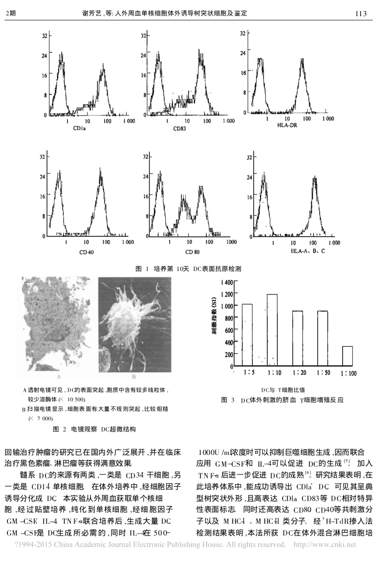 人外周血单核细胞体外诱导树突状细胞及鉴定_谢芳艺.pdf_第3页