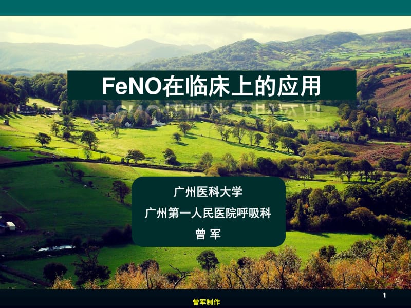 FENO在临床应用的评价(曾军).pdf_第1页