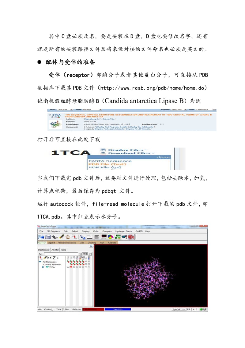 Autodock分子对接中文版.pdf_第2页