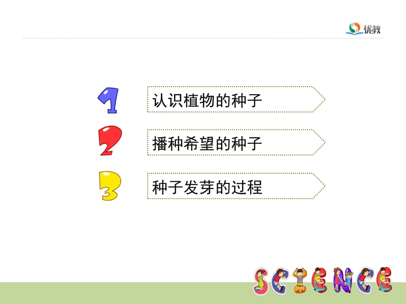 《种子发芽了》教学课件.ppt_第2页