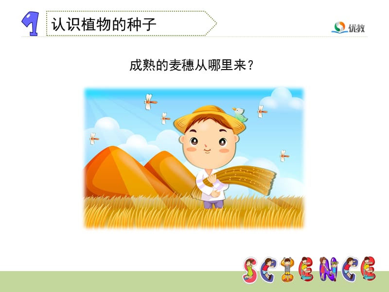 《种子发芽了》教学课件.ppt_第3页