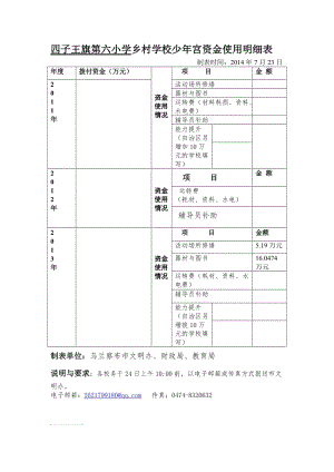 乡村学校少年宫资金使用明细报表.doc