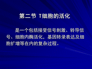 T细胞的活化.ppt