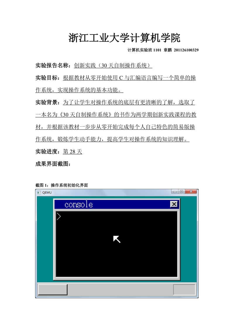 30天自制操作系统期末实验报告.doc_第1页
