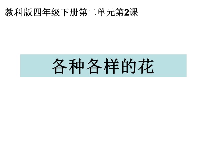 四年级下册科学第二单元第二课：各种各样的花.ppt_第1页