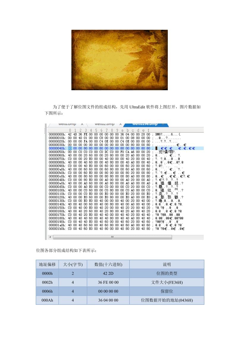 汇编语言显示bmp图像文件-实验报告-附源码.doc_第2页