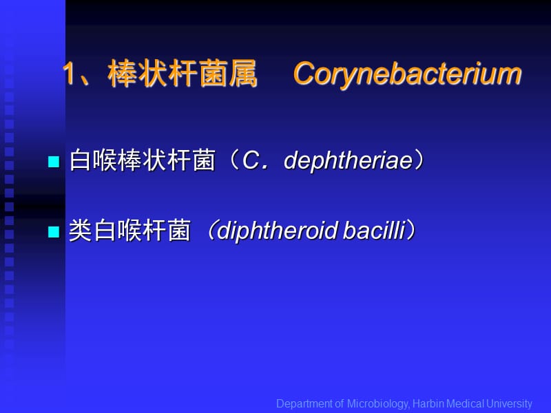 07-第9章 呼吸道传播的病原微生物-其他细菌.ppt_第3页