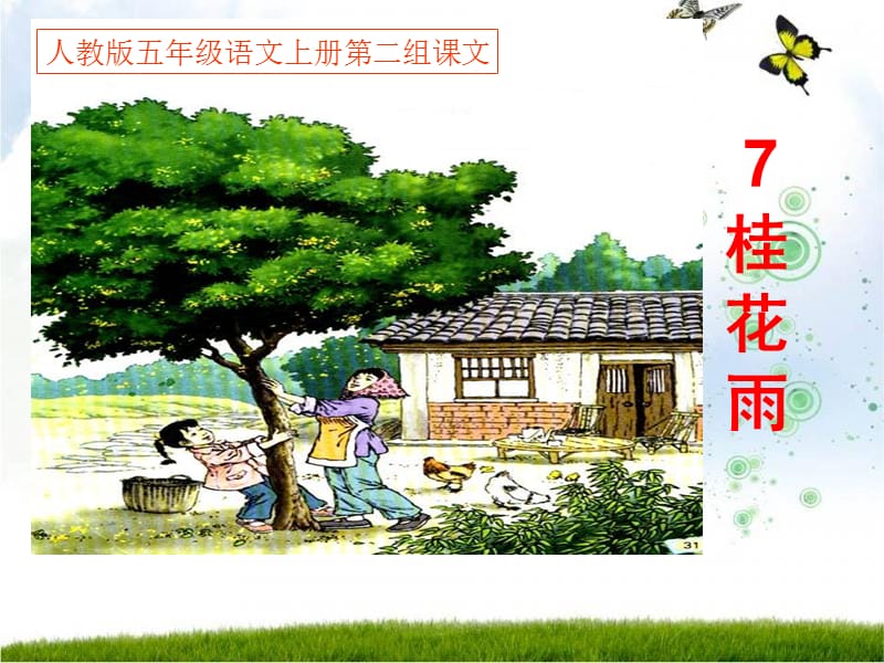 人教版五年级语文上册《桂花雨》课件.ppt_第1页