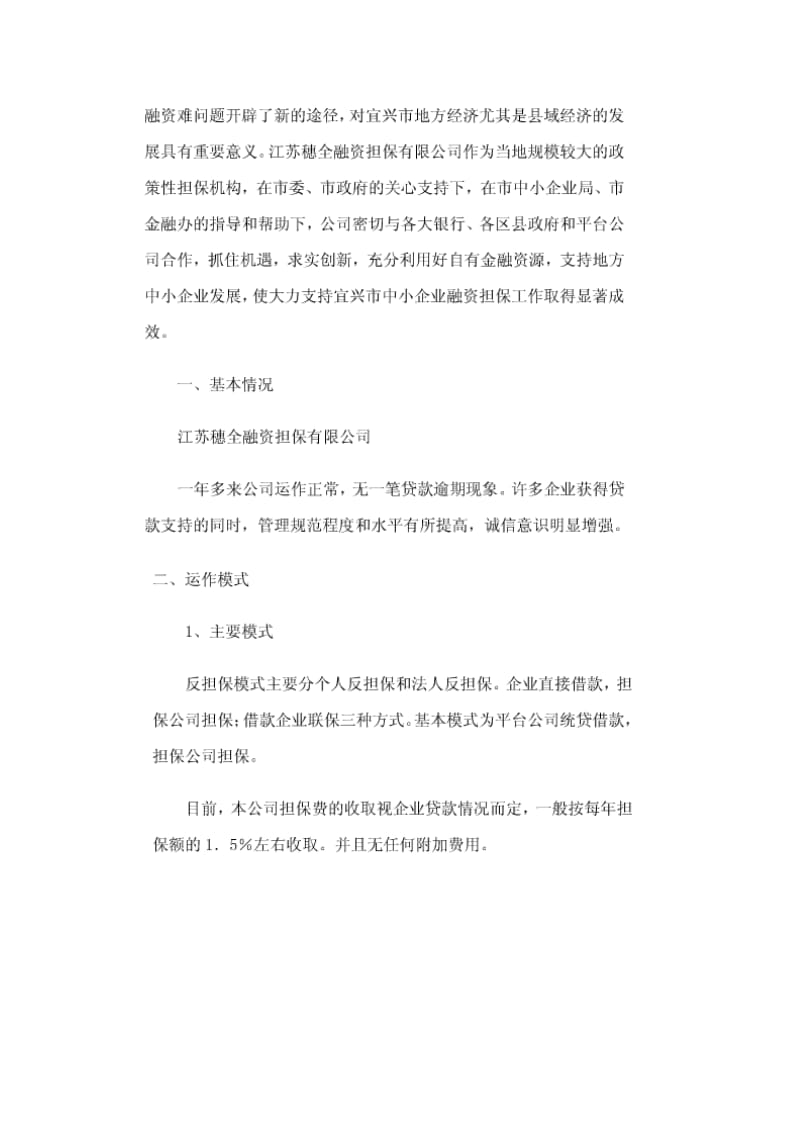 担保公司总结.doc_第2页