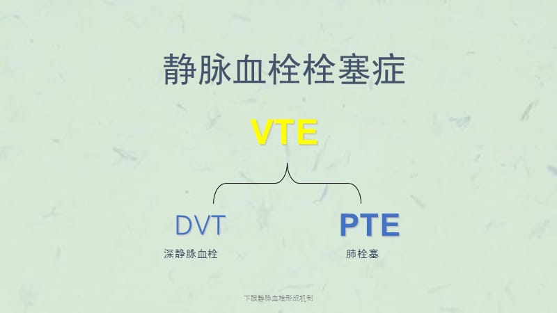 下肢静脉血栓形成机制课件.ppt_第2页