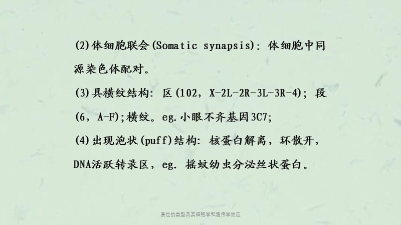 易位的类型及其细胞学和遗传学效应课件.ppt_第3页