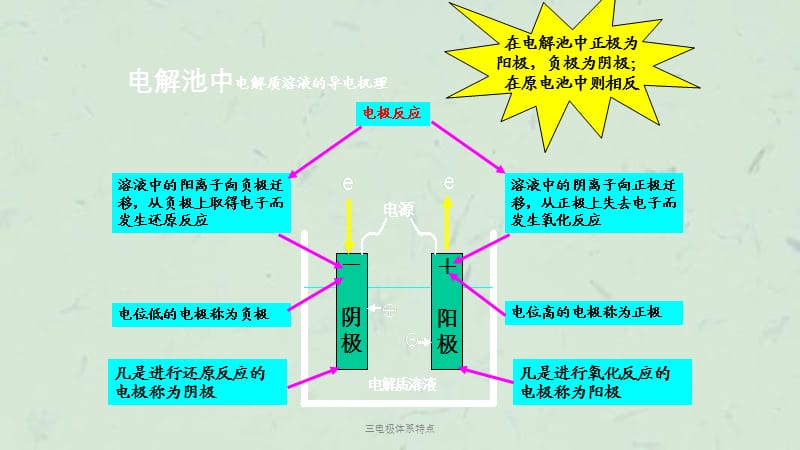 三电极体系特点课件.ppt_第3页