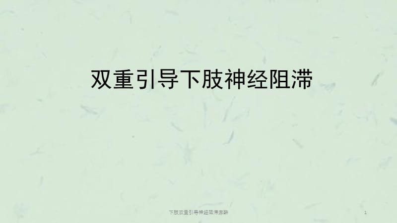 下肢双重引导神经阻滞麻醉课件.ppt_第1页