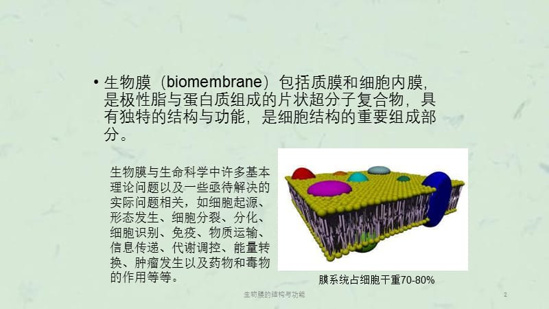 生物膜的结构与功能课件.ppt_第2页