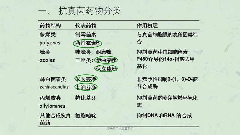 特殊使用抗真菌药物课件.ppt_第3页