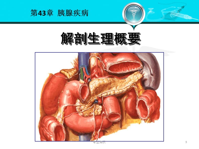 外科学 胰腺疾病#荟萃知识.ppt_第3页