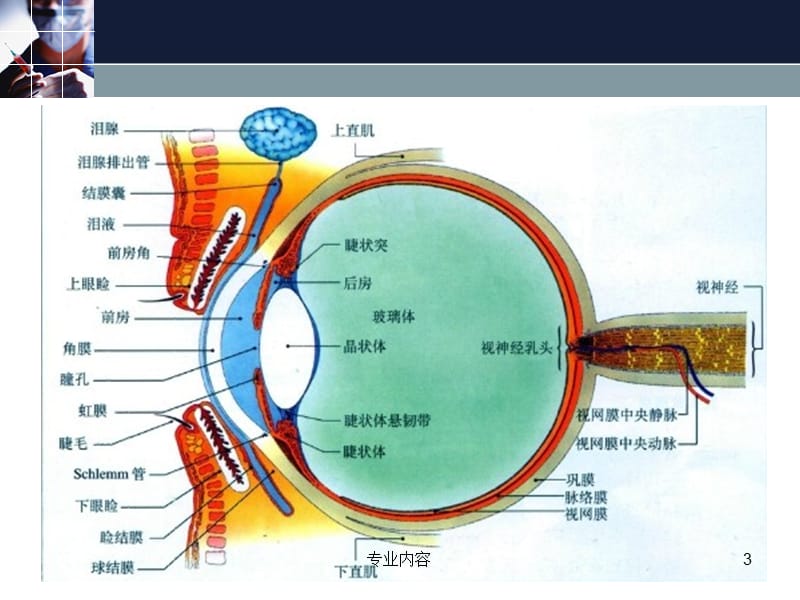 视网膜母细胞瘤影像学诊断及鉴别诊断#荟萃材料.ppt_第3页