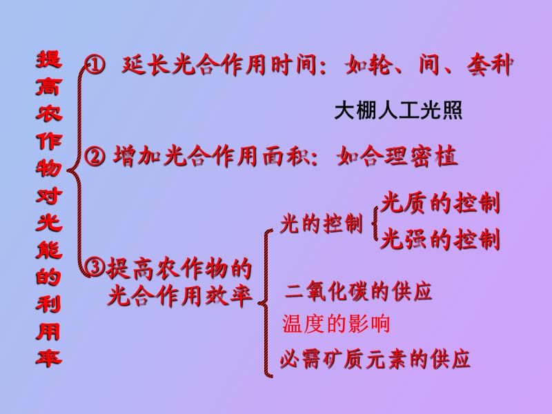 植物的光合作用效率.ppt_第2页