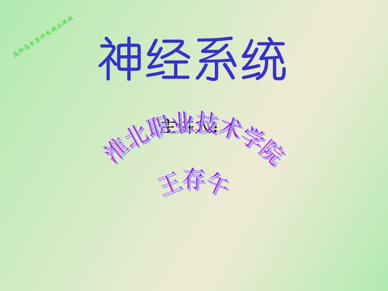 正常人体结构.ppt_第2页