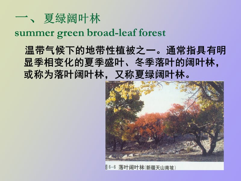 温带植被类型.ppt_第2页