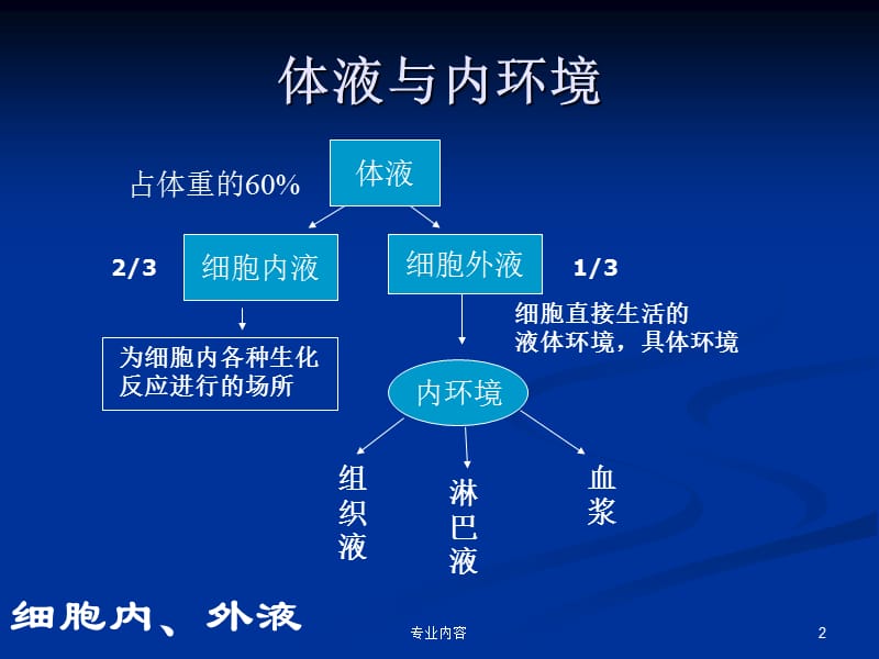 血液-凝血、血型#荟萃材料.ppt_第2页