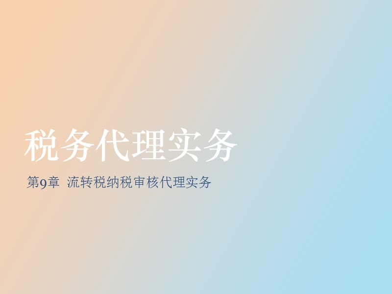 流转税纳税审核代理实务.ppt_第1页