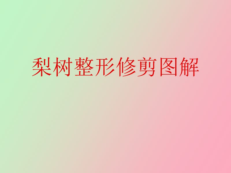 梨树整形修剪图解.ppt_第1页