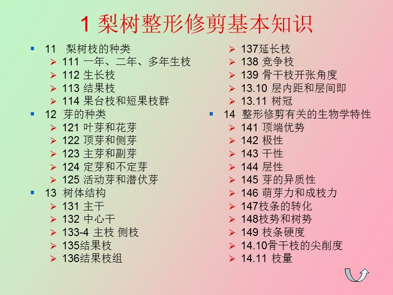 梨树整形修剪图解.ppt_第3页