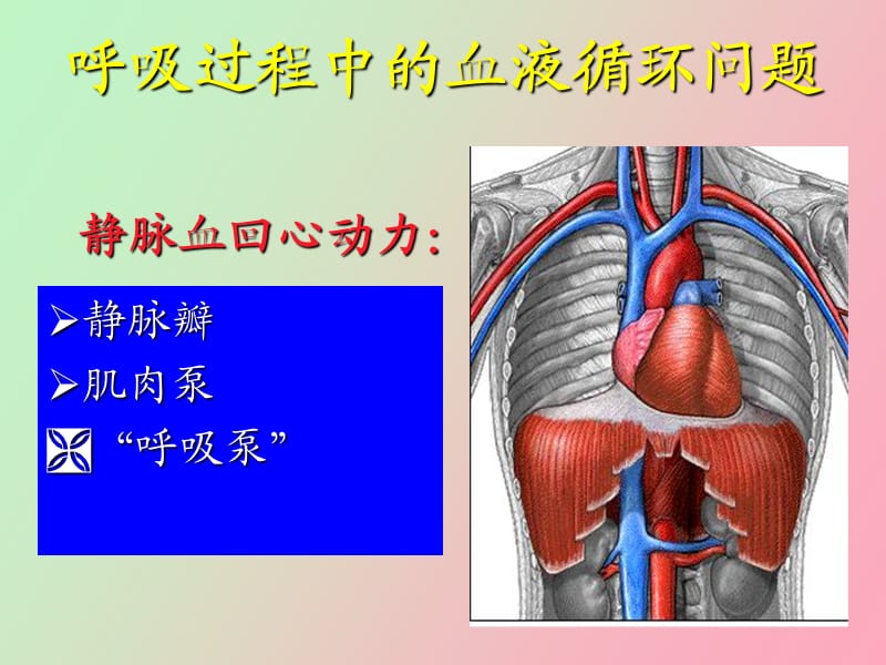 机械通气的常用方式.ppt_第3页