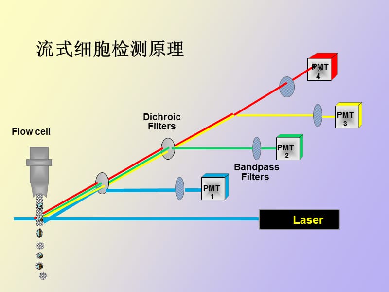 流式细胞术报告单解读.ppt_第3页