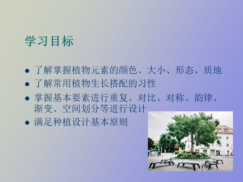 植物观赏与应用前言.ppt_第3页