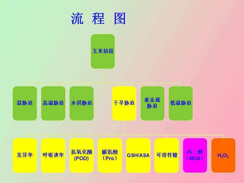 模块四逆境胁迫对植物生理生化指标的.ppt_第3页