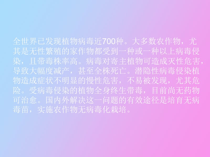 植物组织培养脱毒技术.ppt_第2页