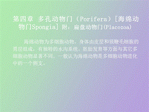 海绵动物门和扁盘动物门.ppt