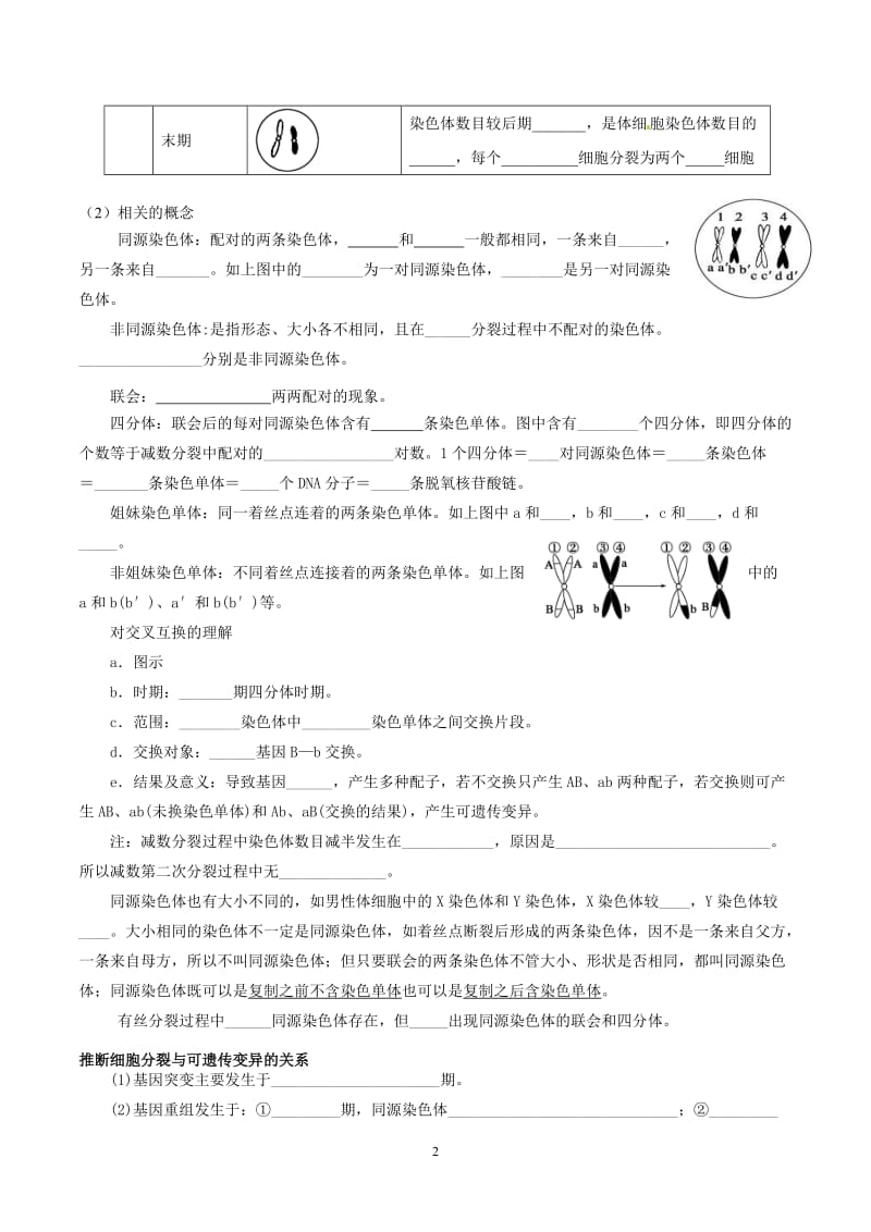 减数分裂复习学案.doc_第2页