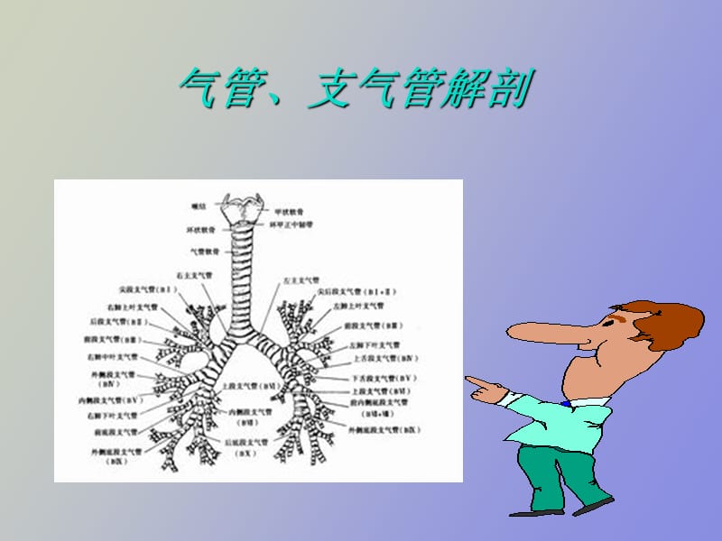 气管支气管肿瘤.ppt_第2页