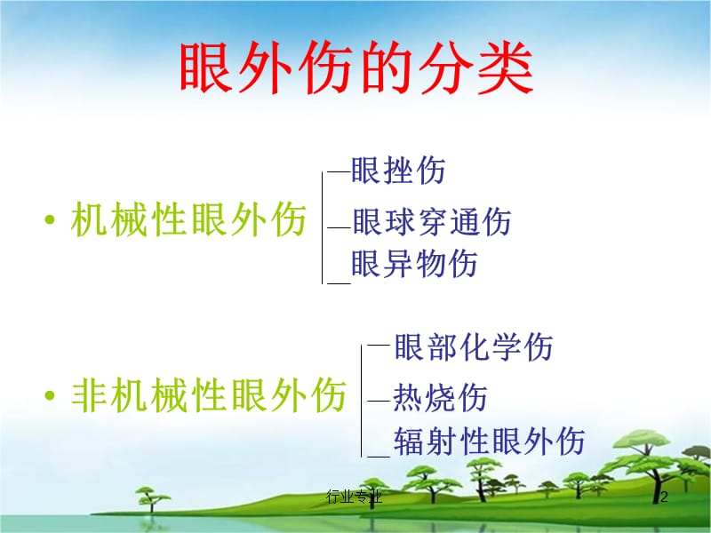 眼外伤病人的护理#行业专业.ppt_第2页