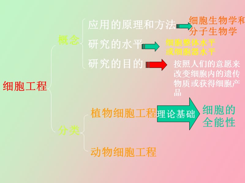 植物细胞制药.ppt_第3页