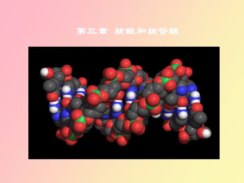 核酸和核苷酸.ppt_第1页