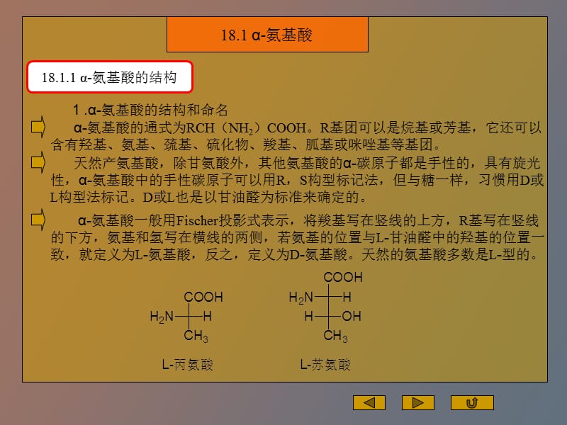 氨基酸多肽蛋白质.ppt_第2页