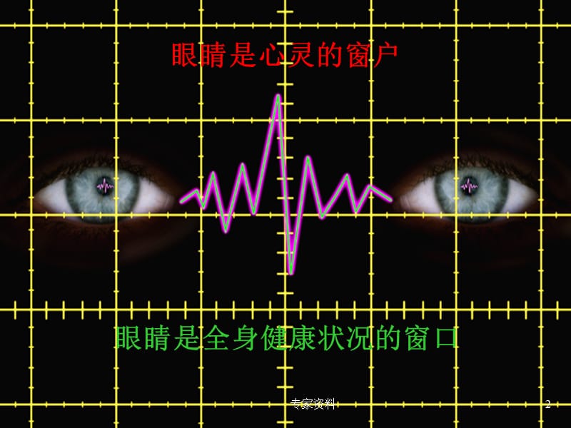 眼的解剖生理课件#专家专业.ppt_第2页