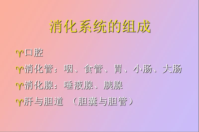 消化系统胃炎.ppt_第2页