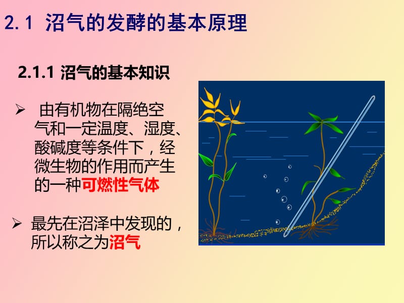 沼气技术基础.pptx_第2页