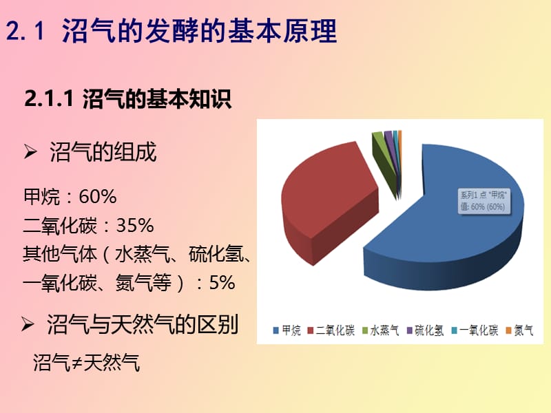 沼气技术基础.pptx_第3页