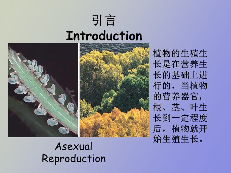 植物的成花生理和生殖生理.ppt_第2页